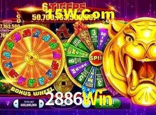 Experiência VIP 2886Win